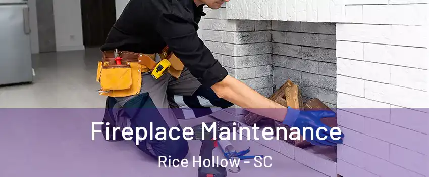 Fireplace Maintenance Rice Hollow - SC