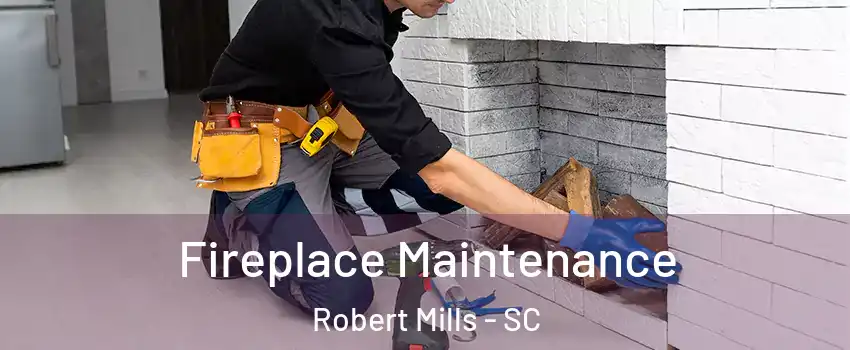 Fireplace Maintenance Robert Mills - SC