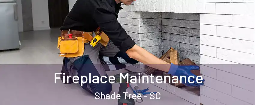 Fireplace Maintenance Shade Tree - SC