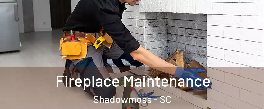 Fireplace Maintenance Shadowmoss - SC