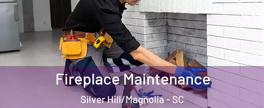 Fireplace Maintenance Silver Hill/Magnolia - SC