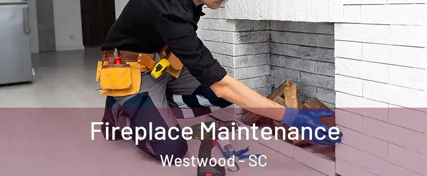 Fireplace Maintenance Westwood - SC