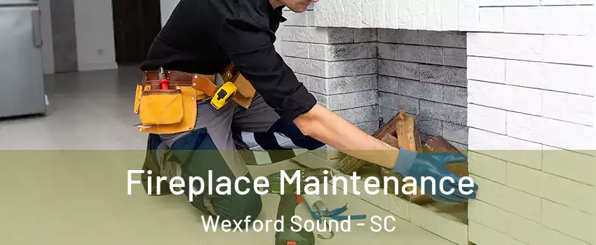 Fireplace Maintenance Wexford Sound - SC