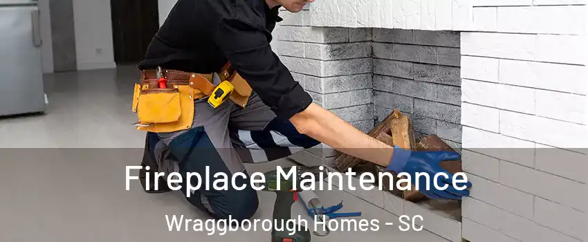 Fireplace Maintenance Wraggborough Homes - SC