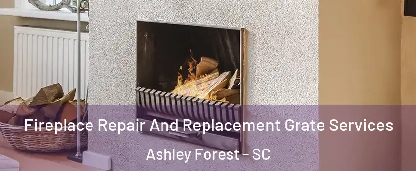 Fireplace Repair And Replacement Grate Services Ashley Forest - SC