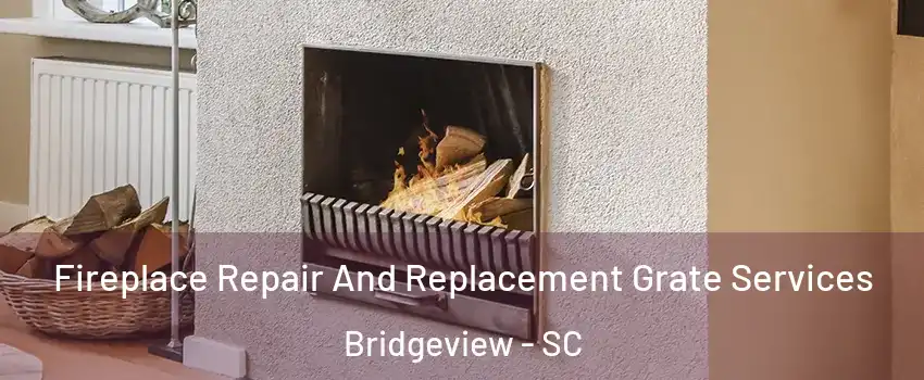 Fireplace Repair And Replacement Grate Services Bridgeview - SC