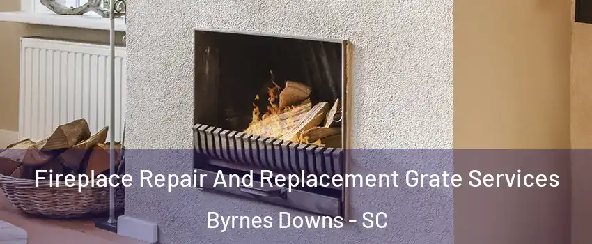 Fireplace Repair And Replacement Grate Services Byrnes Downs - SC