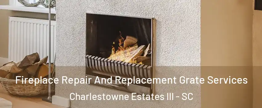 Fireplace Repair And Replacement Grate Services Charlestowne Estates III - SC