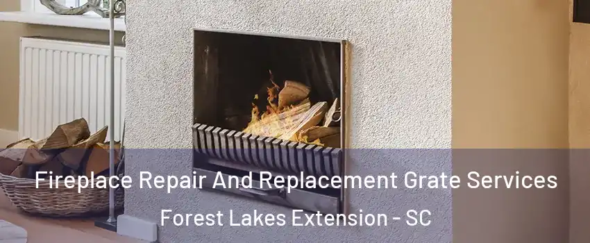 Fireplace Repair And Replacement Grate Services Forest Lakes Extension - SC