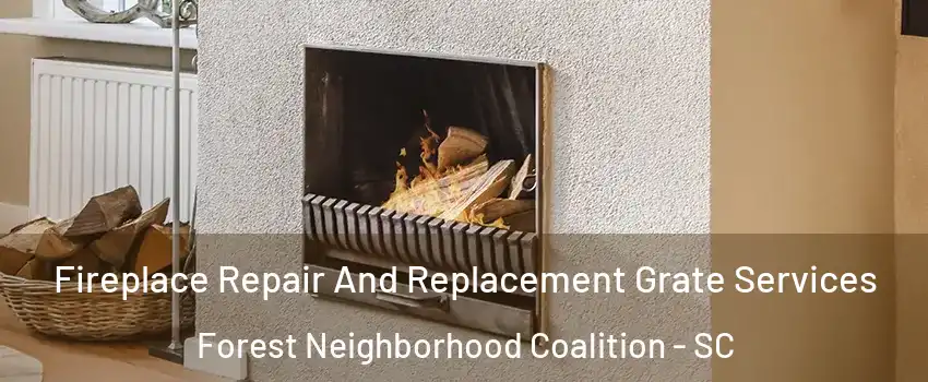 Fireplace Repair And Replacement Grate Services Forest Neighborhood Coalition - SC