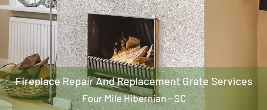 Fireplace Repair And Replacement Grate Services Four Mile Hibernian - SC