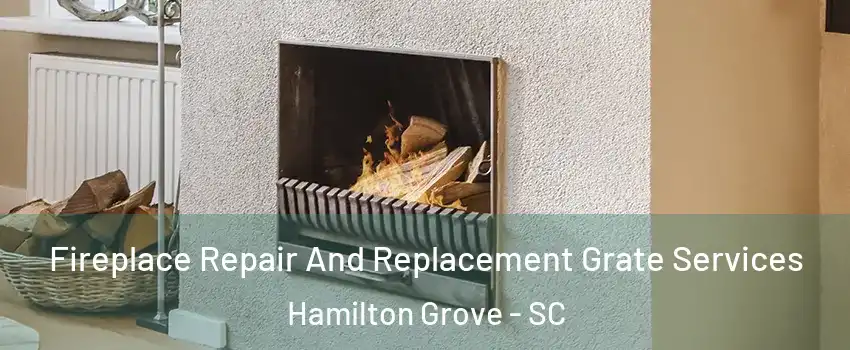 Fireplace Repair And Replacement Grate Services Hamilton Grove - SC