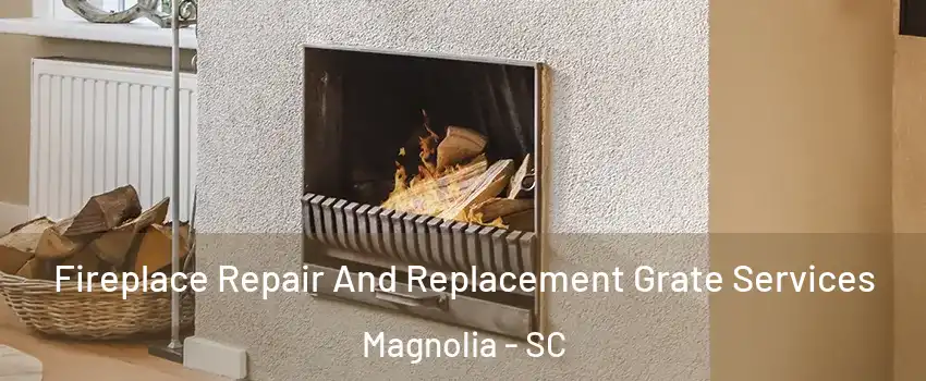 Fireplace Repair And Replacement Grate Services Magnolia - SC