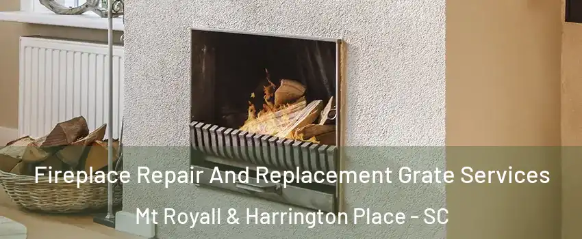 Fireplace Repair And Replacement Grate Services Mt Royall & Harrington Place - SC