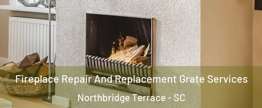 Fireplace Repair And Replacement Grate Services Northbridge Terrace - SC