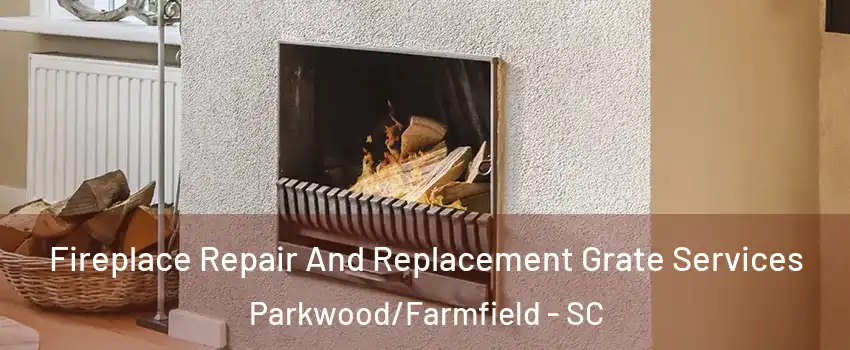 Fireplace Repair And Replacement Grate Services Parkwood/Farmfield - SC