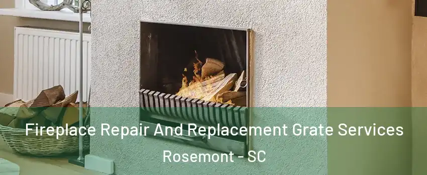 Fireplace Repair And Replacement Grate Services Rosemont - SC