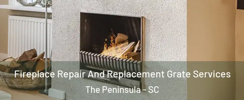 Fireplace Repair And Replacement Grate Services The Peninsula - SC