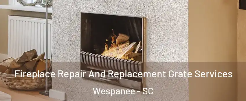 Fireplace Repair And Replacement Grate Services Wespanee - SC