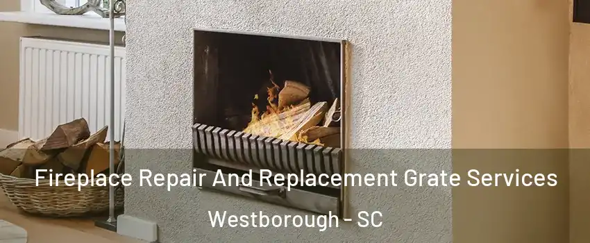 Fireplace Repair And Replacement Grate Services Westborough - SC