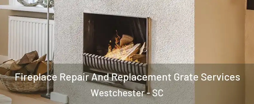 Fireplace Repair And Replacement Grate Services Westchester - SC