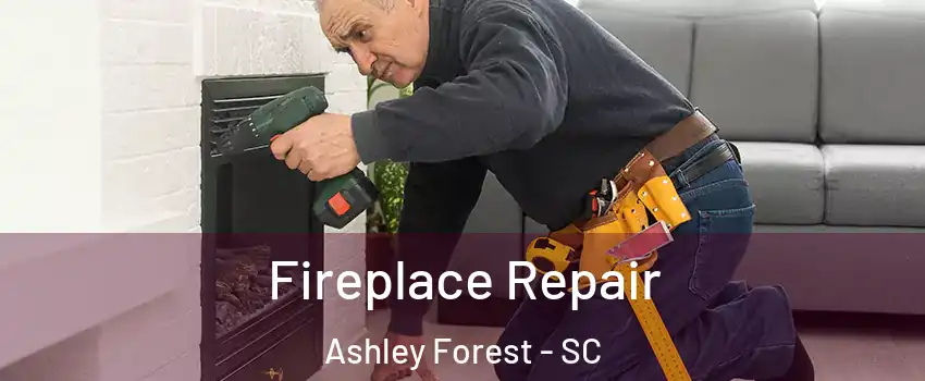 Fireplace Repair Ashley Forest - SC