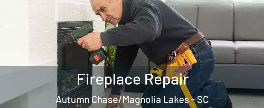 Fireplace Repair Autumn Chase/Magnolia Lakes - SC