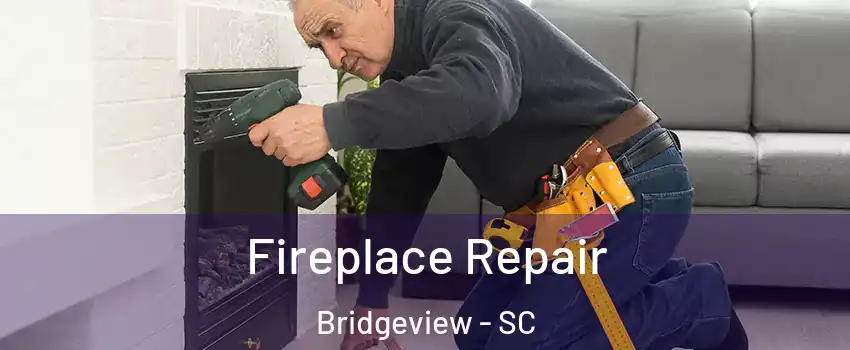 Fireplace Repair Bridgeview - SC