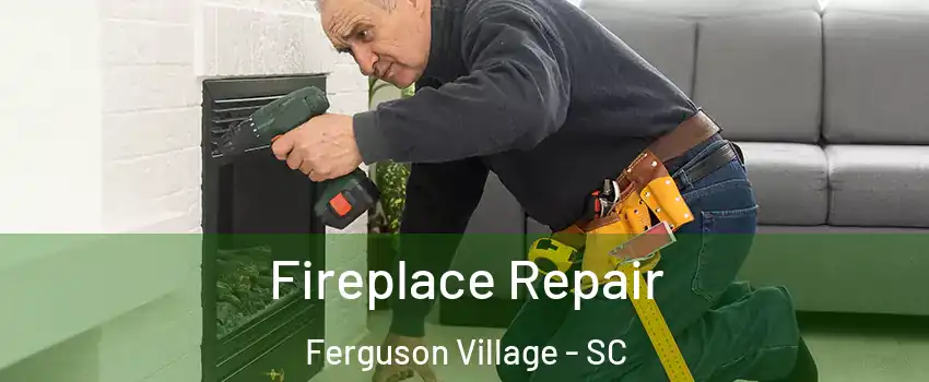 Fireplace Repair Ferguson Village - SC