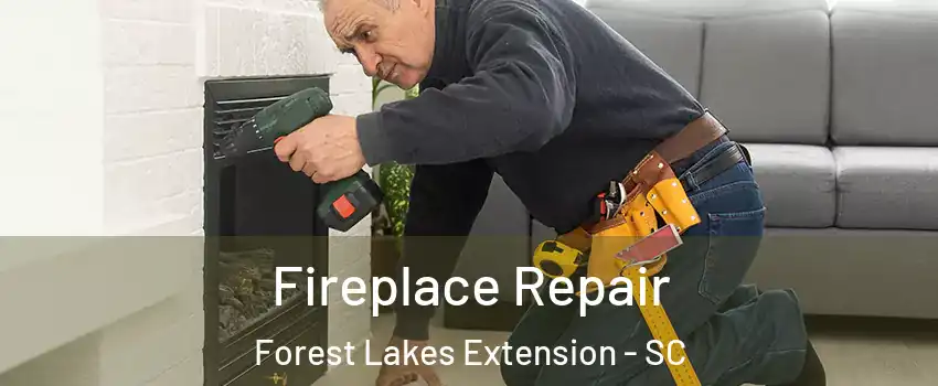 Fireplace Repair Forest Lakes Extension - SC