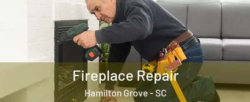 Fireplace Repair Hamilton Grove - SC