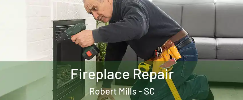 Fireplace Repair Robert Mills - SC