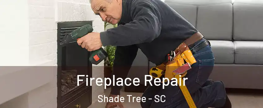 Fireplace Repair Shade Tree - SC