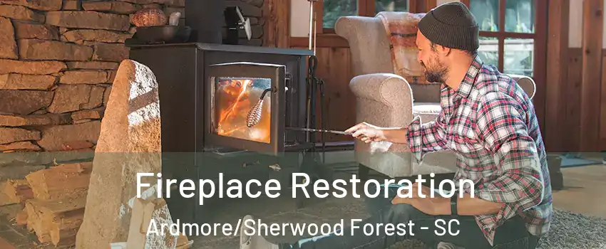 Fireplace Restoration Ardmore/Sherwood Forest - SC