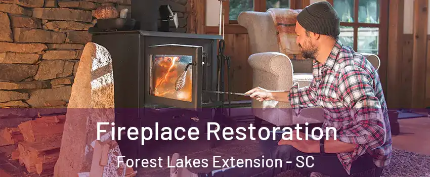 Fireplace Restoration Forest Lakes Extension - SC