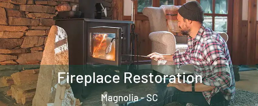 Fireplace Restoration Magnolia - SC