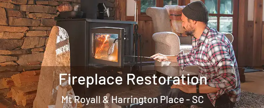 Fireplace Restoration Mt Royall & Harrington Place - SC