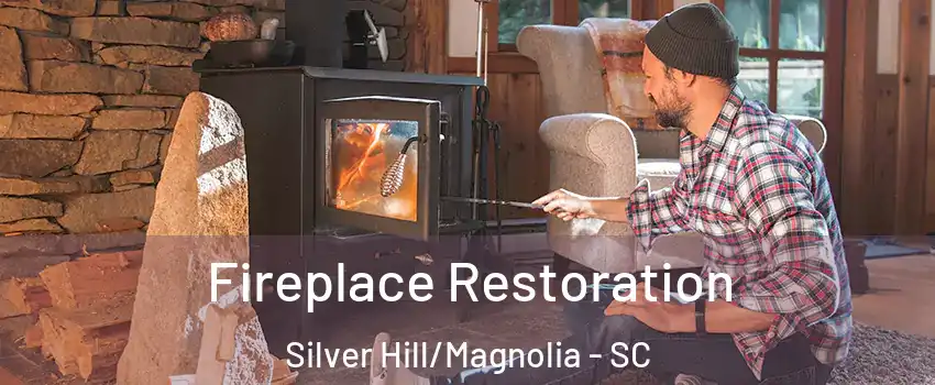 Fireplace Restoration Silver Hill/Magnolia - SC