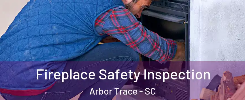 Fireplace Safety Inspection Arbor Trace - SC