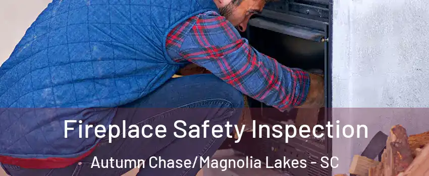 Fireplace Safety Inspection Autumn Chase/Magnolia Lakes - SC