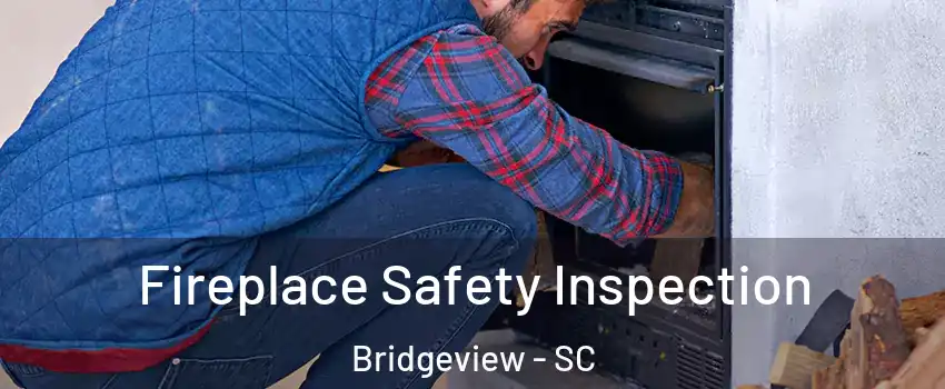 Fireplace Safety Inspection Bridgeview - SC