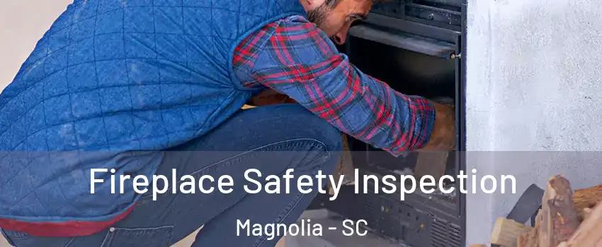 Fireplace Safety Inspection Magnolia - SC