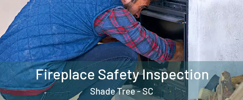 Fireplace Safety Inspection Shade Tree - SC