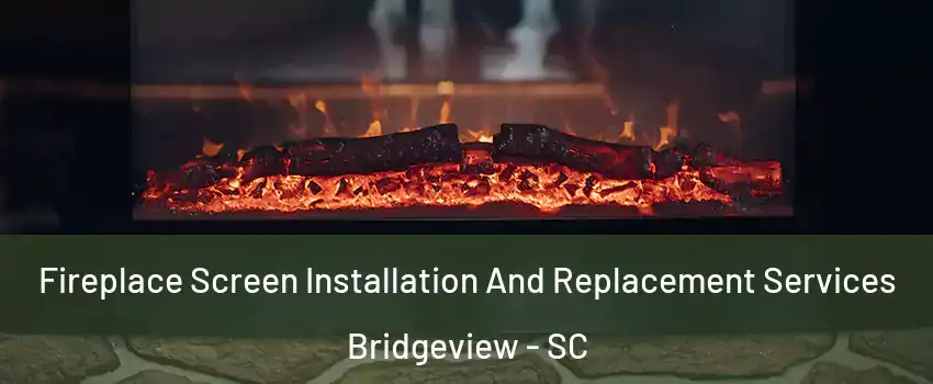 Fireplace Screen Installation And Replacement Services Bridgeview - SC