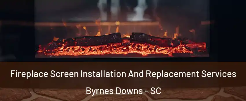 Fireplace Screen Installation And Replacement Services Byrnes Downs - SC