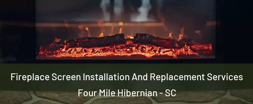 Fireplace Screen Installation And Replacement Services Four Mile Hibernian - SC