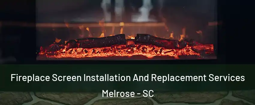 Fireplace Screen Installation And Replacement Services Melrose - SC