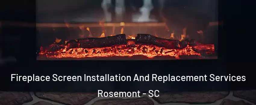 Fireplace Screen Installation And Replacement Services Rosemont - SC