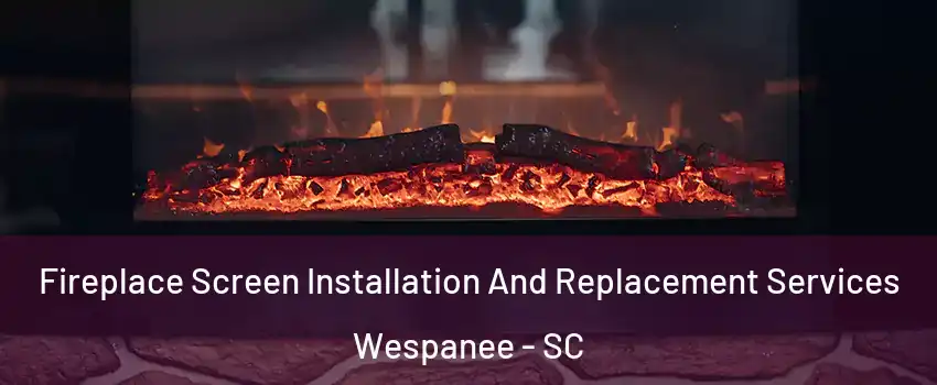 Fireplace Screen Installation And Replacement Services Wespanee - SC