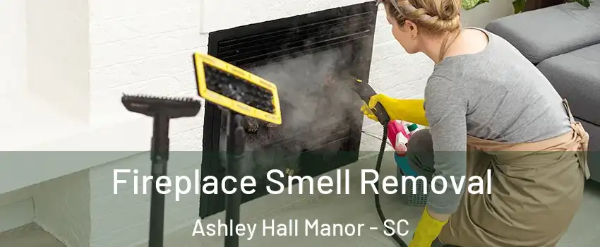 Fireplace Smell Removal Ashley Hall Manor - SC